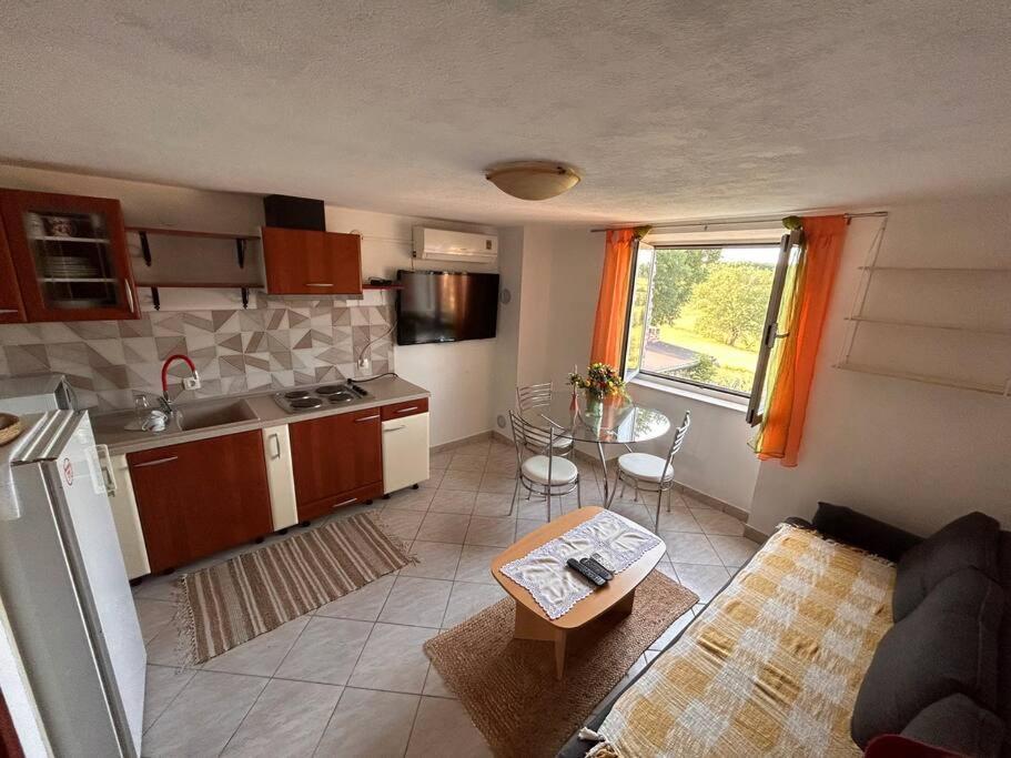 Apartamento App Franci Parenzana Marusici  Exterior foto